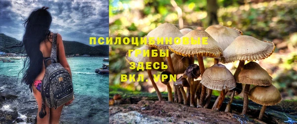 герыч Богородск