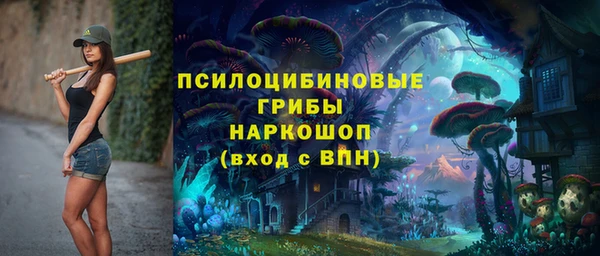 герыч Богородск
