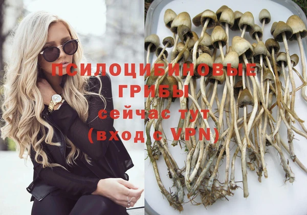 прущие крисы Богородицк