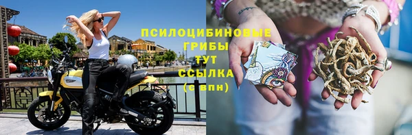 jwh Богданович