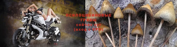 прущие крисы Богородицк