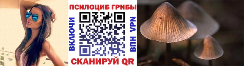 Псилоцибиновые грибы Cubensis  Мичуринск 